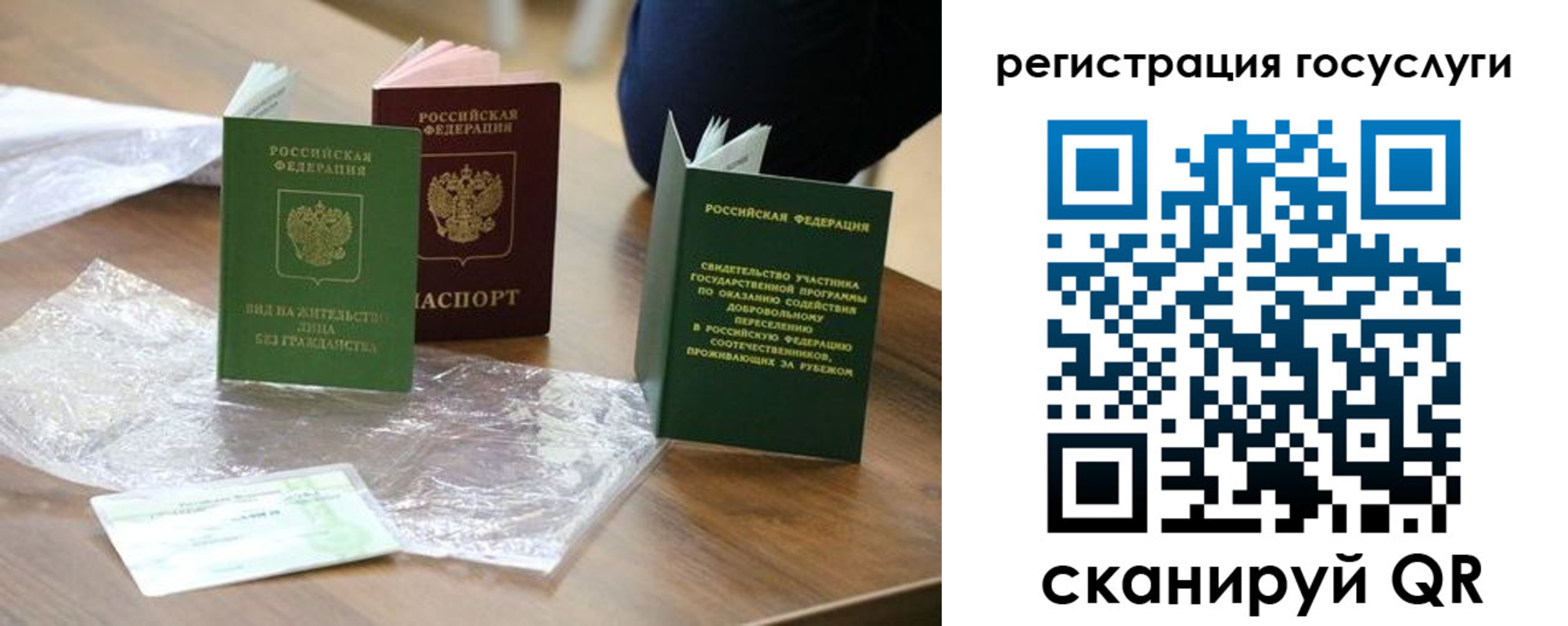 купить прописку в Нелидово